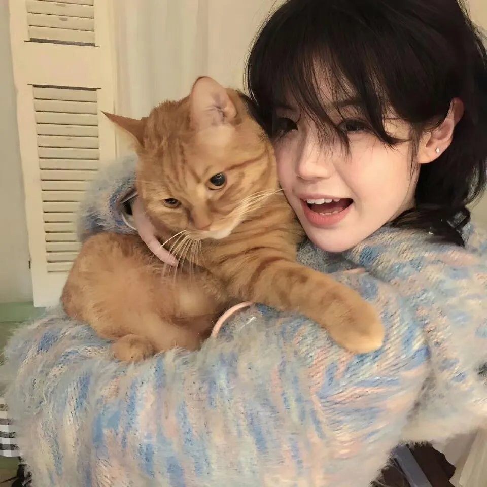 好莱坞庄园